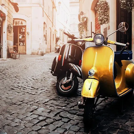 In Front Of Vatican Museums And Vatican Area - Myden In *